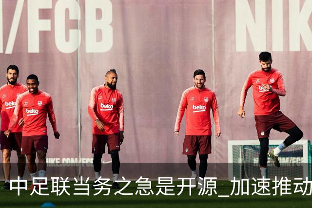 中足联当务之急是开源 加速推动中国足球职业化